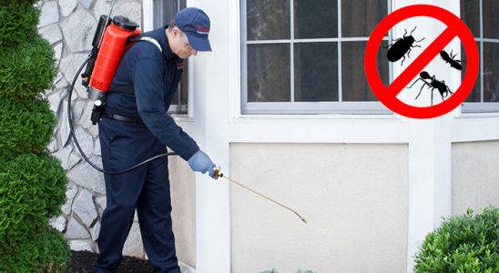 Beytüşşebap Akrep İlaçlama böcek ilaçlama ve haşere kontrolü — ilaclama-tr.com
